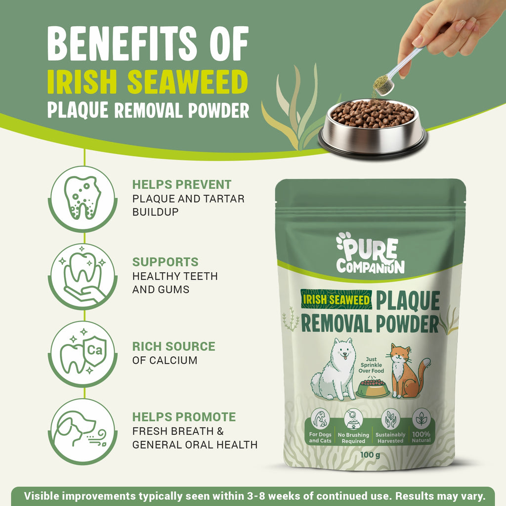 Plaque Removal Powder