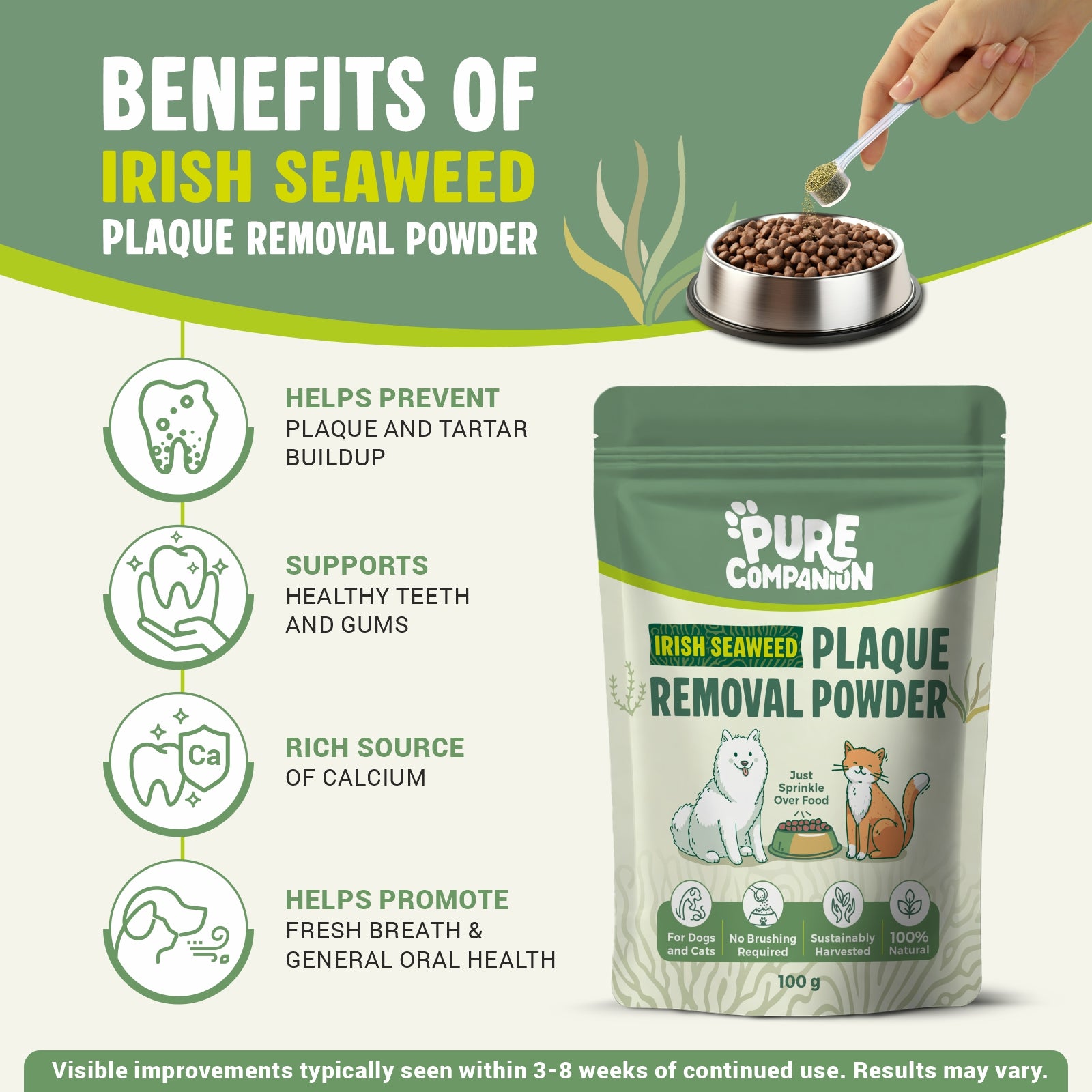 Plaque Removal Powder