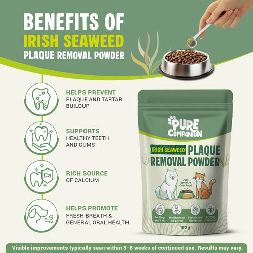 Plaque Removal Powder