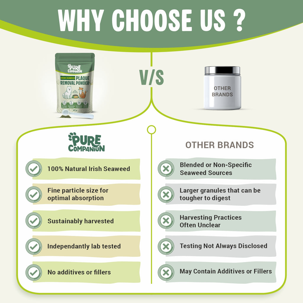 Plaque Removal Powder