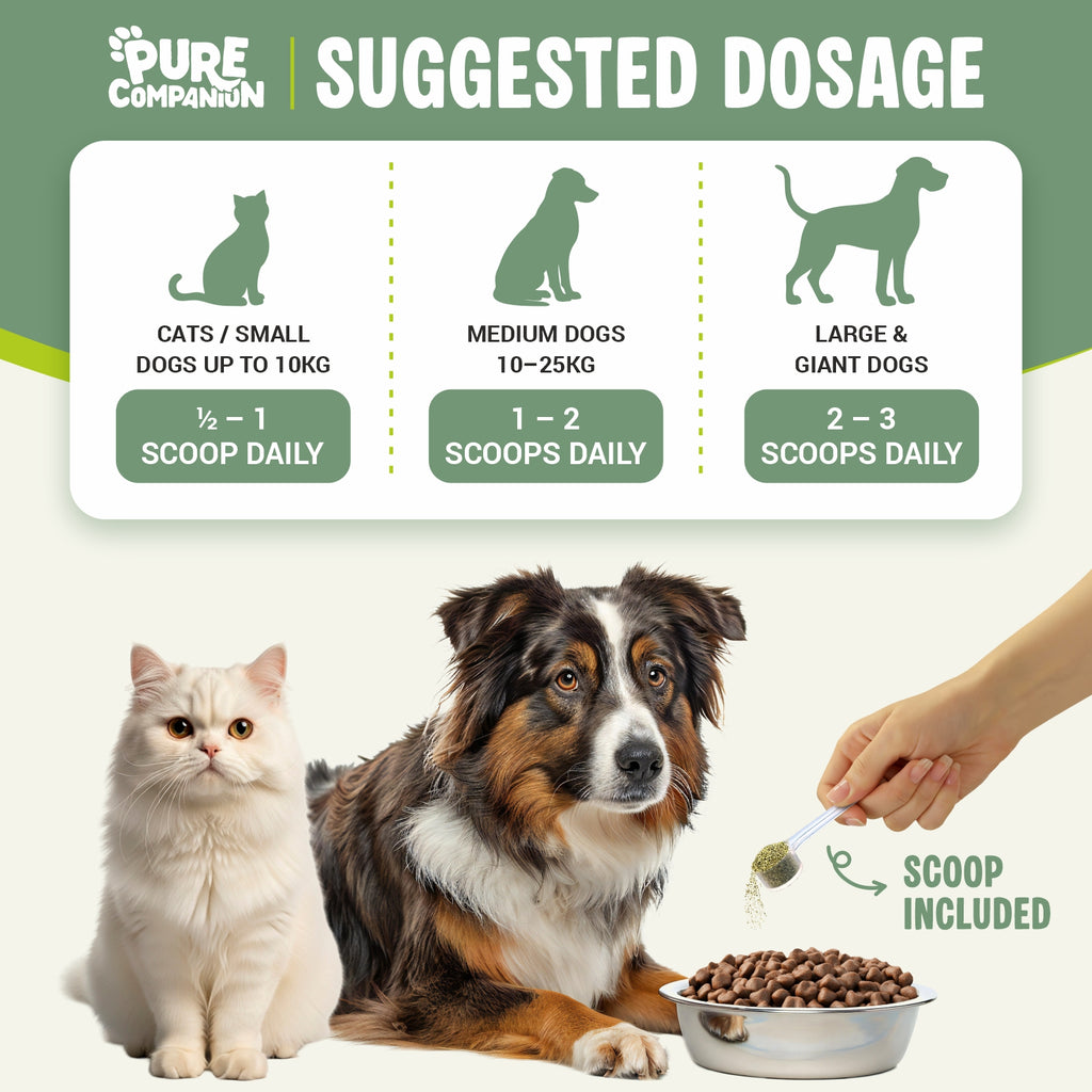 Plaque Removal Powder