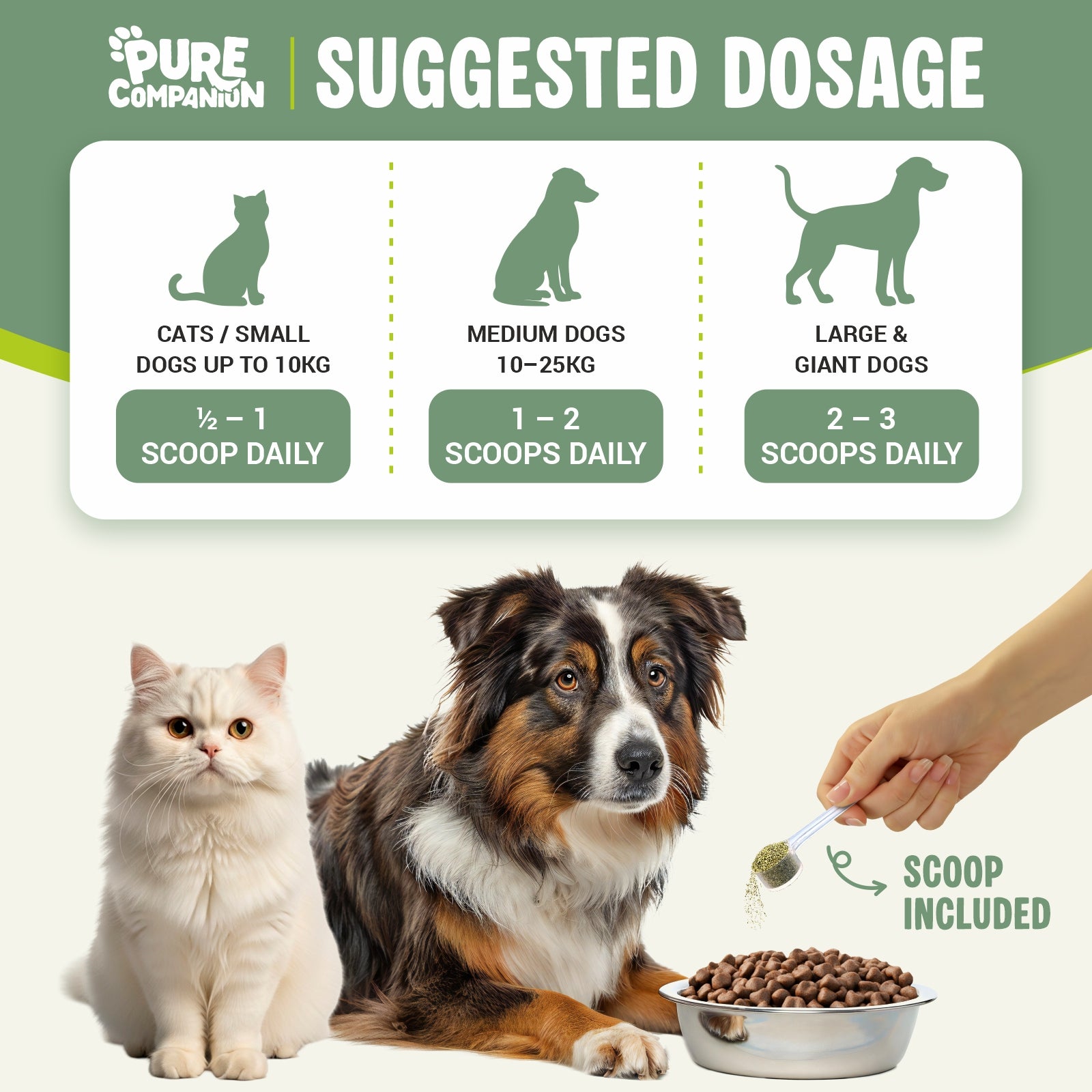 Plaque Removal Powder